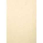 100BL EVERCOVER Elfenbein A3 270G