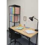 Exacompta Ringbuch Aquarel A4 4R 25mm rosa