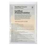 Schutzhülle 88x132 PKW Schein 10St