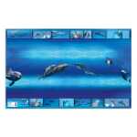 Herma Schreibunterlage Karton 55 x 35 cm Delfine