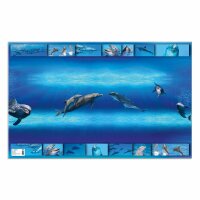 Herma SCHREIBUNT.KARTON TIERE DELFIN 55x35