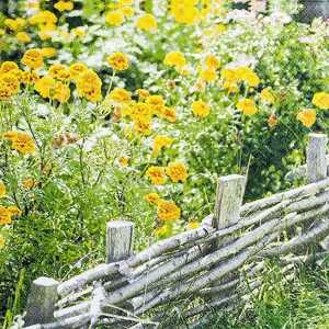 Motivserviette 33x33cm HOME F. 212210 Blumen/gelb