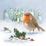 Servietten 33x33cm Robin 4103070055492