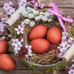 Servietten 33x33cm Nido 4103070055508