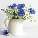 Motivserviette 33x33cm Frühjahr PAPER+DESIGN 198245