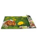 Herma Sammelmappe Eckspanner Karton A4 Nagetiere