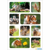 Herma DECOR Sticker NAGETIERE