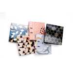 Sortiment Motiv-Ordner Fashion&Style 5 St.