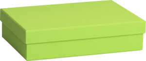 Geschenkbox 16,5x24x6cm A5+ OC h.gn