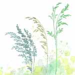 Servietten 33x33cm Green Beeze, 3-lagig, 20 Stück,...