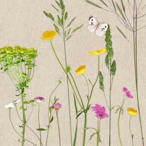 Servietten 33x33cm Wildkräuter, 3-lagig, 20 Stück, Partytime