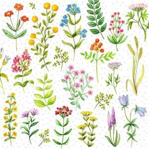 Servietten 33x33cm Viele Blümchen, 3-lagig, 20 Stück, Partytime