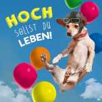 Klappkarte Archie´s Hit Mix Motiv 20, Depesche