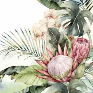 Servietten 33x33cm Protea & Orchids, 3-lagig, 20 Stück, ti-flair