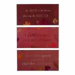 Dekoschild Xander 40x20cm 3fach sortiert