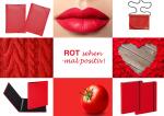 Pagna Paket Farbwelten rot 4009212059949
