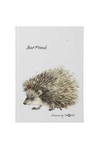 Pagna Freundebuch Igel 60S 4009212060532