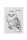 Pagna Freundebuch Eule 60S 4009212060570