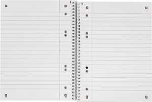Recycling Collegeblock A5+, 80 Blatt, liniert 6fach gelocht