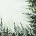 Weihn.Zelltuchserviette 33x33cm HOME F. 612207 3lag