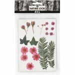 Blüten und Blätter rosa gepresst, Creativ Company
