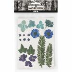 Blüten und Blätter blau gepresst, Creativ Company