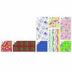 Geschenkpapier 100cmx3m neutrale Motive sortiert, Florio...