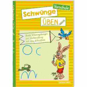 Schwünge üben Vorschule von Julia Meyer, illustriert