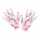Paar, Widmann 8003558342747 8003558342747