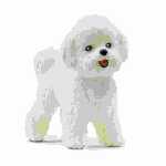 Bichon Frisé 3,7cm 4059433527611