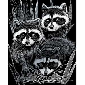 20x25cm silber, inklusive Kratzfeder, 4016490819981
