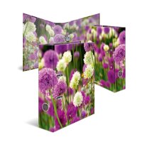 Herma ORDNER A4 KARTON PURPLE SENSATION