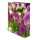 Herma Motiv-Ordner Karton A4, 7 cm Rückenbreite Purple Sensation