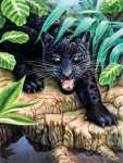 Malen nach Zahlen Junior Schwarzer Panther,...