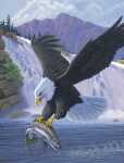 Malen nach Zahlen Junior Weißkopf-Seeadler,...