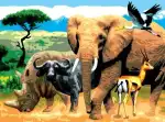 Malen nach Zahlen Junior Afrikanische Tiere,...