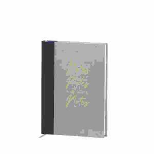 Notizbuch Notes Notes and more Notes A5 Sage, Rössler