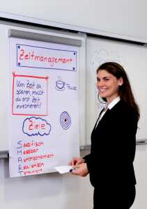 Wandschiene PRO 400cm silber FRANKEN PSS8400