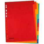 DONAU Register - blanko, Karton, A4, 10 Blatt, 5-farbig