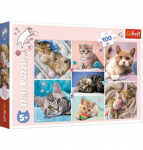 Puzzle Katzenwelt TREFL 16420 100 Teile