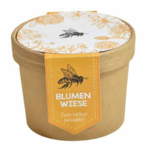 Bienenwiese-Pott zum Aussäen WUNDERLE 41733
