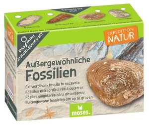 Mini-Ausgrabungsset sortiert MOSES 9831 Expedition Natur