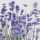 Serviette 33x33cm Violet violett FSC-Mix