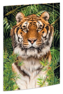 RNK Tierische Zeichenmappen A3, 310x440mm, Tiger