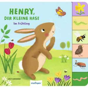 Henry, der kleine Hase Kinderbuch von Anja Kiel