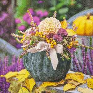 Servietten 25x25cm Pumpkin FSC-Mix