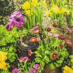 Motivserviette 33x33cm Frühjahr HOME F. 212301 3lag...