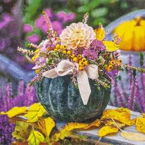 Servietten 33x33cm Pumpkin FSC-Mix