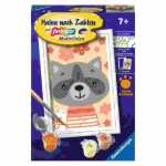 Malen nach Zahlen Serie F Lieber Waschbär,