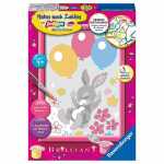 Malen nach Zahlen Serie E Fliegendes Häschen,